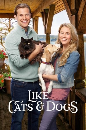 Watch Free Like Cats & Dogs (2017)