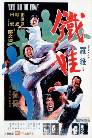 Watch Free Attack of the Kung Fu Girls (1973)