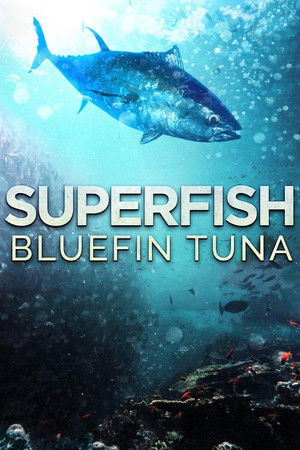 Watch Free Superfish Bluefin Tuna (2012)