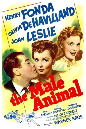 Watch Free The Male Animal (1942)
