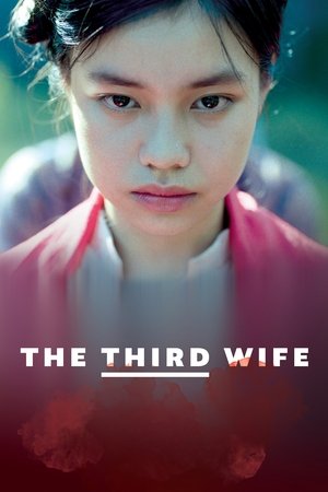 Watch Free The Third Wife (2018)