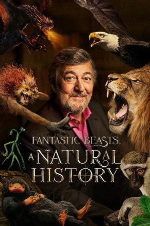 Watch Free Fantastic Beasts: A Natural History (2022)