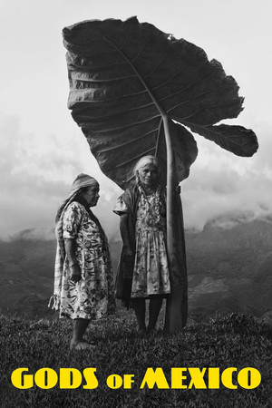 Watch Free Gods of Mexico (2022)