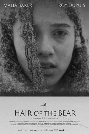 Watch Free Hair of the Bear (2025)