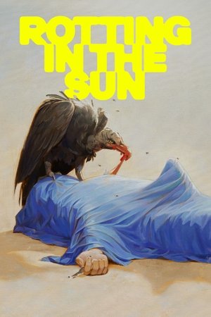 Watch Free Rotting in the Sun (2023)