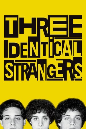 Watch Free Three Identical Strangers (2018)