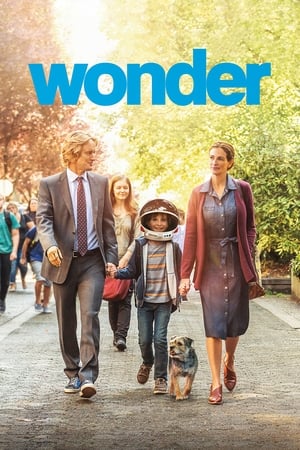 Watch Free Wonder (2017)