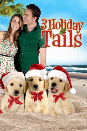Watch Free 3 Holiday Tails (2011)