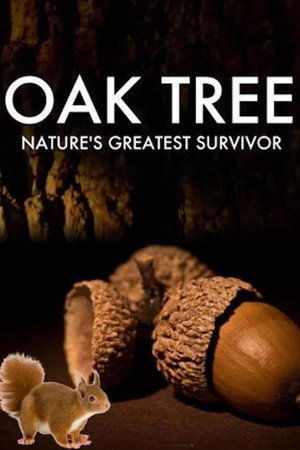 Watch Free Oak Tree Natures Greatest Survivor (2015)