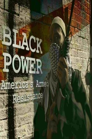 Watch Free Black Power: Americas Armed Resistance (2016)