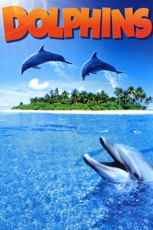 Watch Free Dolphins (2000)