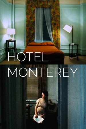 Watch Free Hotel Monterey (1973)