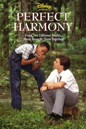 Watch Free Perfect Harmony (1991)