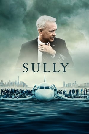 Watch Free Sully (2016)