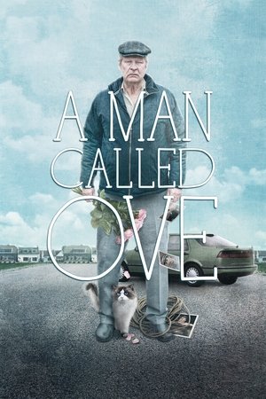 Watch Free A Man Called Ove (2015)