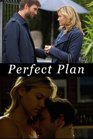 Watch Free Perfect Plan (2010)