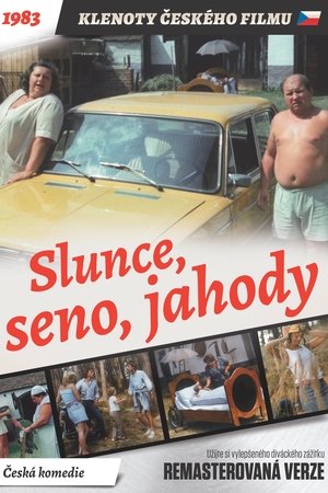 Watch Free Slunce, seno, jahody (1984)