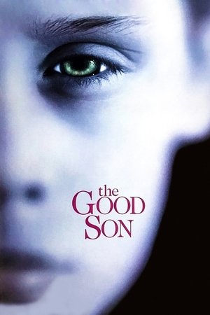 Watch Free The Good Son (1993)