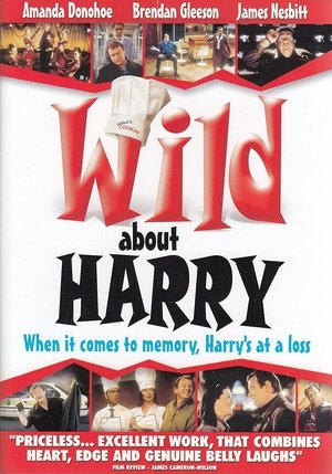 Watch Free Wild About Harry (2000)