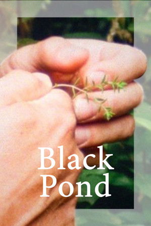 Watch Free Black Pond (2018)