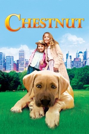 Watch Free Chestnut Hero of Central Park (2004)