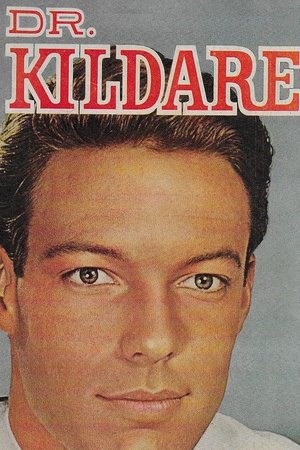 Watch Free Dr Kildare (1961-1966)