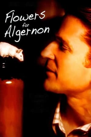 Watch Free Flowers for Algernon (2000)