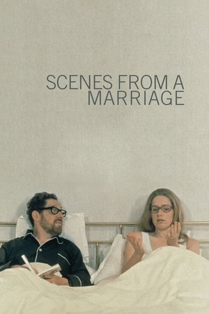 Watch Free Scenes from a Marriage (1973)