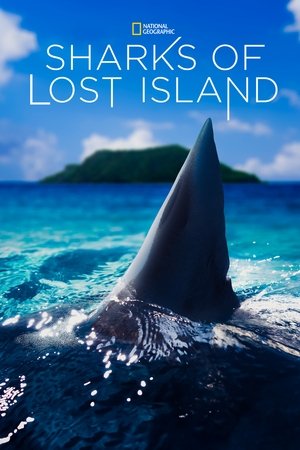Watch Free Sharks of Lost Island (2013)