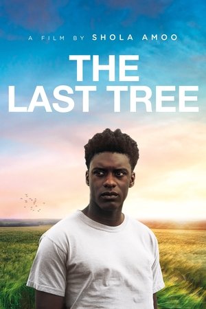 Watch Free The Last Tree (2019)