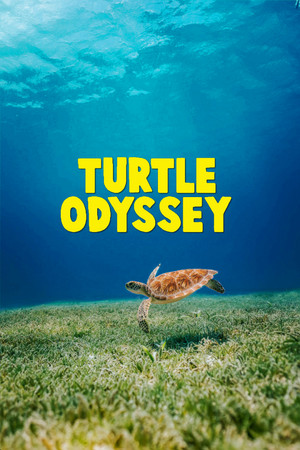 Watch Free Turtle Odyssey (2018)