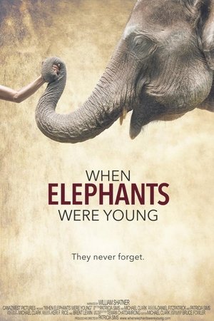 Watch Free When Elephants Were Young (2016)