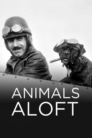 Watch Free Animals Aloft (2009)