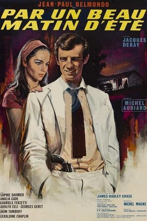 Watch Free Crime on a Summer Morning (1965)