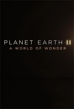 Watch Free Planet Earth II A World of Wonder (2017)