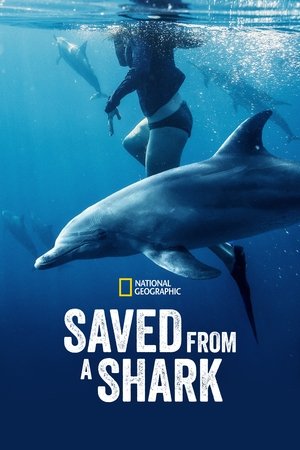 Watch Free Saved from a Shark (2023)