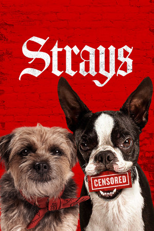 Watch Free Strays (2023)