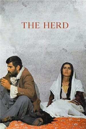Watch Free The Herd (1978)
