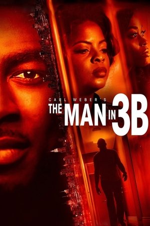 Watch Free The Man in 3B (2015)
