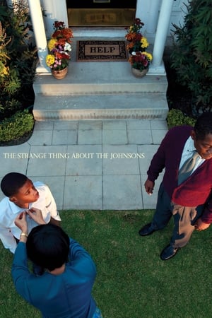 Watch Free The Strange Thing About the Johnsons (2011)