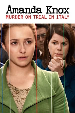 Watch Free Amanda Knox (2011)