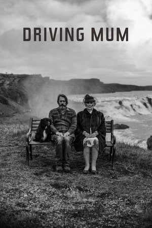 Watch Free Driving Mum (2022)