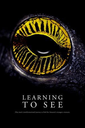 Watch Free Learning to See: The World of Insects (2016)