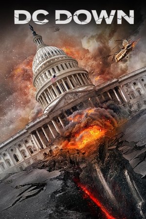 Watch Free DC Down (2023)