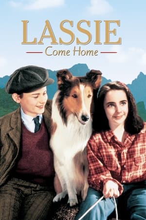 Watch Free Lassie Come Home (1943)