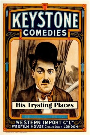 Watch Free His Trysting Place (1914)