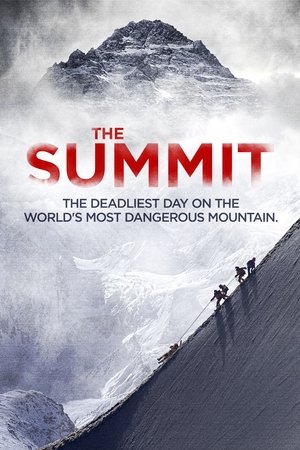 Watch Free The Summit (2012)