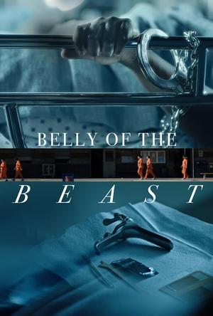 Watch Free Belly of the Beast (2020)