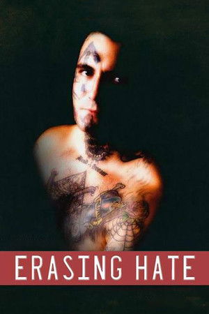 Watch Free Erasing Hate (2011)