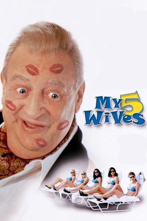 Watch Free My 5 Wives (2000)